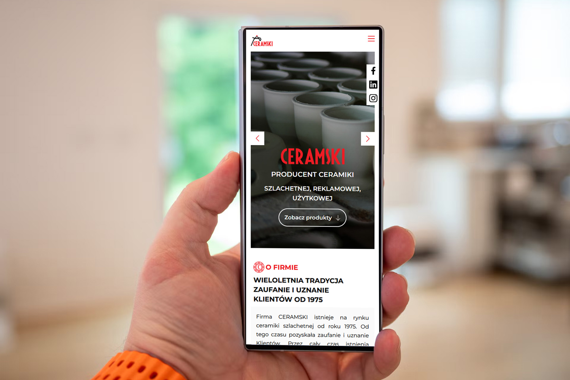 tworzenie stron www i stron internetowych